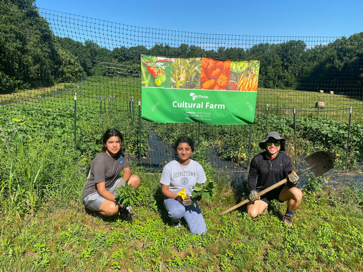 Three people kneel in a vegetable garden beside an AfriThrive Cultural Farm banner