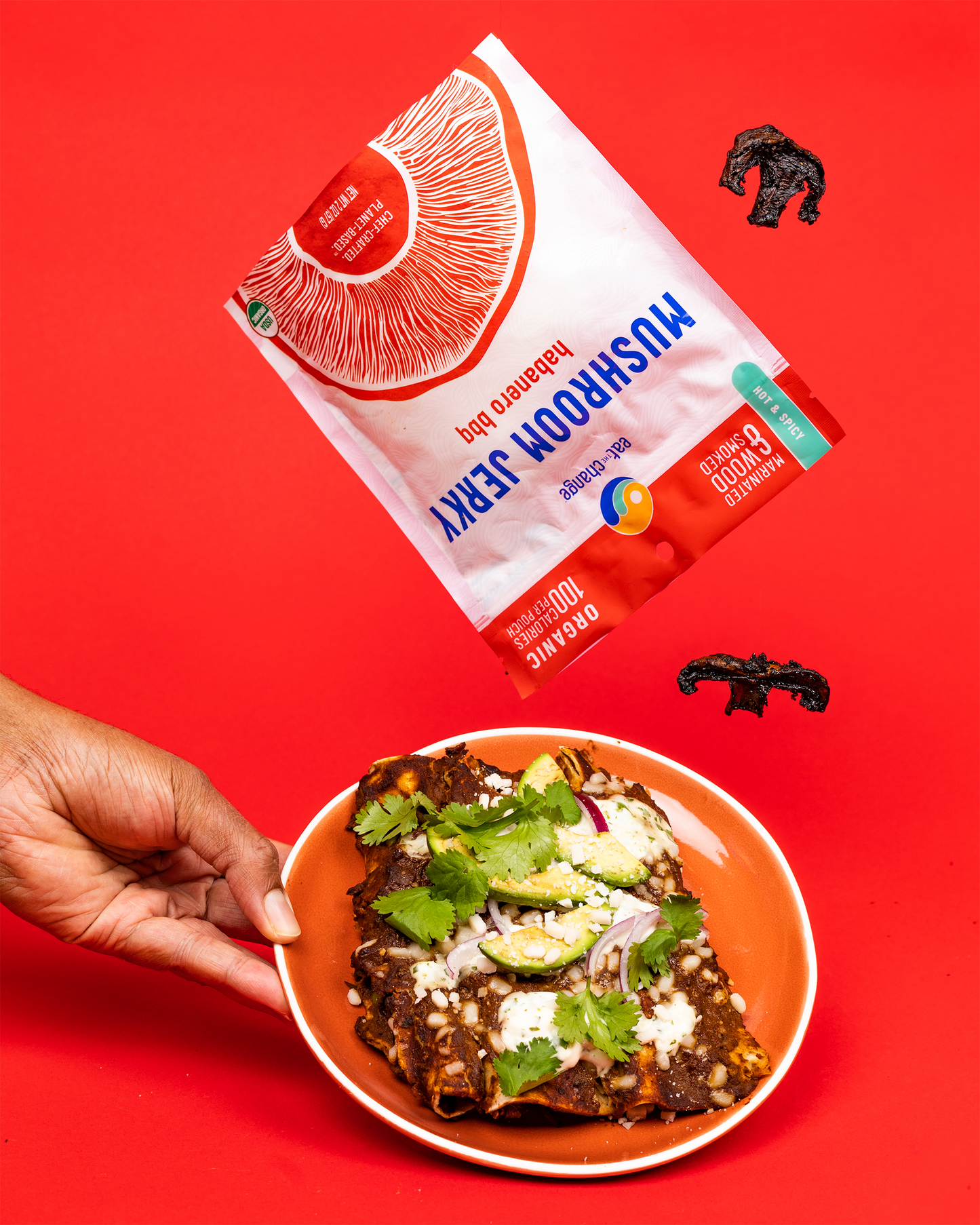 Mole Poblano Mushroom Enchiladas